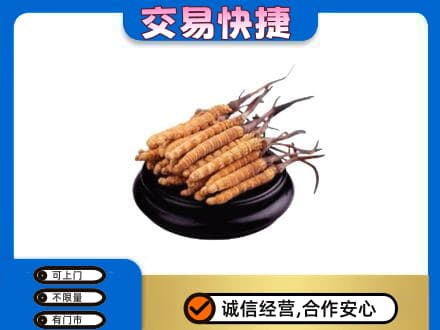 太原礼品回收散虫草.jpg